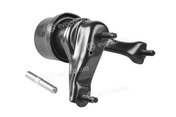 Tedgum TED58561