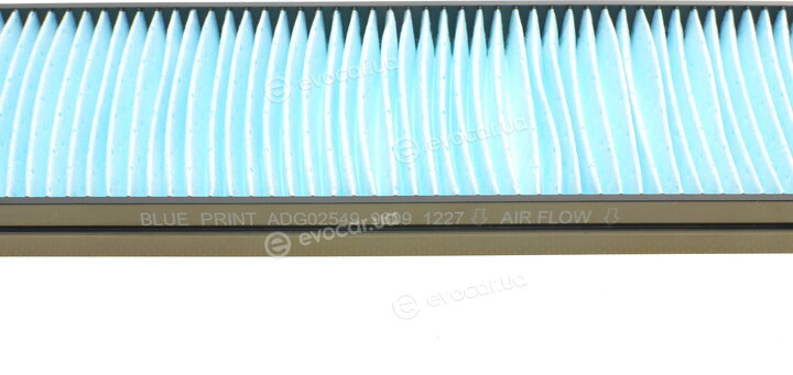 Blue Print ADG02549