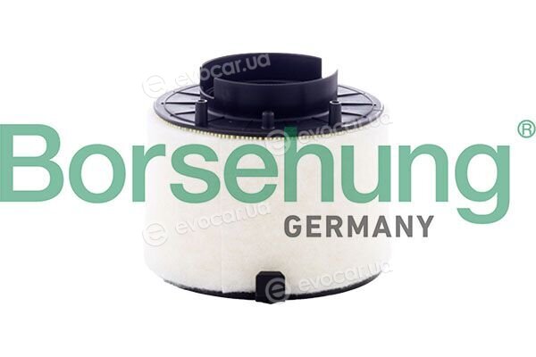 Borsehung B13205