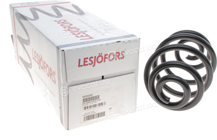 Lesjofors 4204226