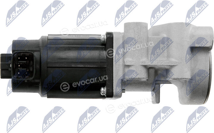 NTY EGR-MS-002
