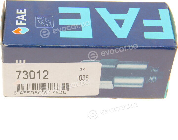 FAE 73012