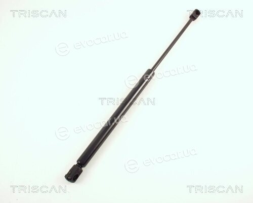 Triscan 8710 67204