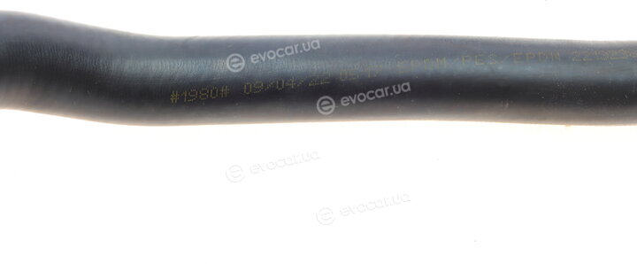DP CS 81579 İBR
