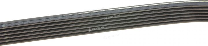 Dayco 6PK1250