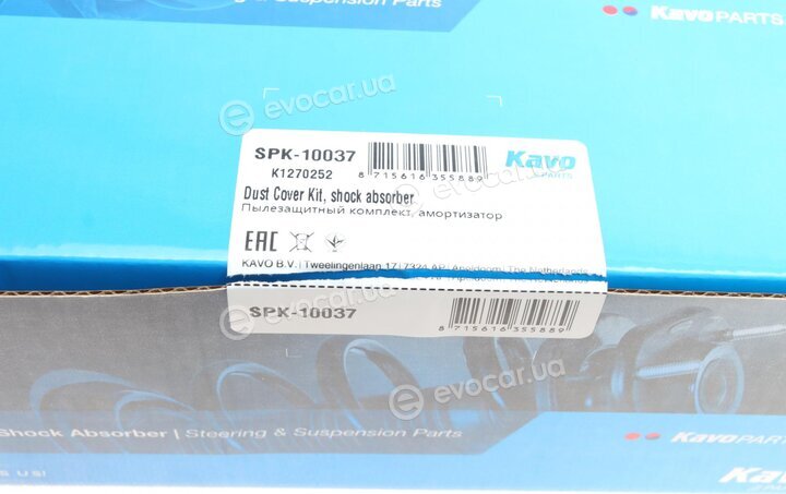 Kavo SPK-10037