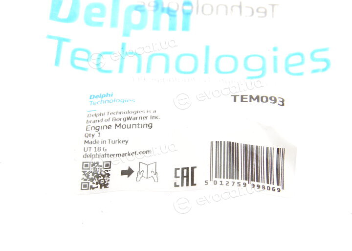 Delphi TEM093