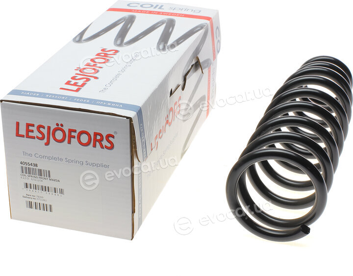 Lesjofors 4055438