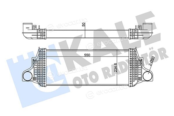 Kale 350910