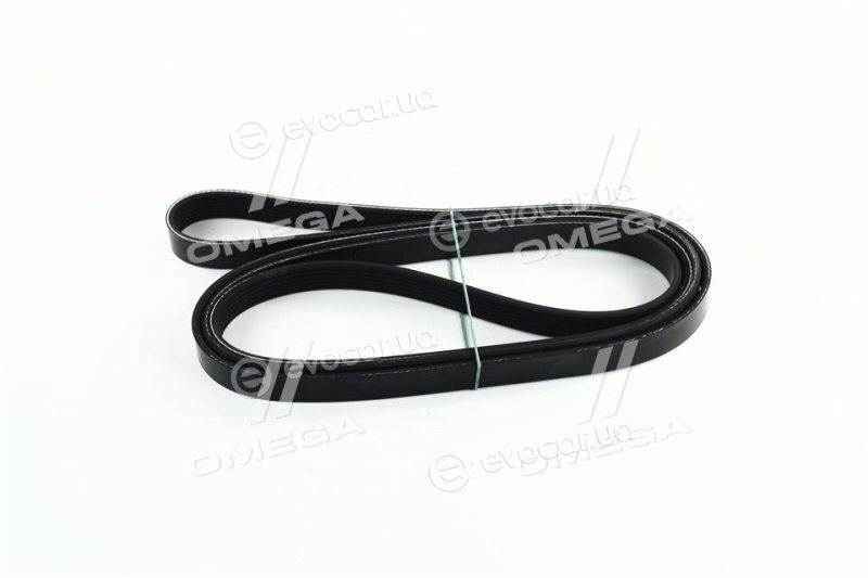 Dayco 6PK2581