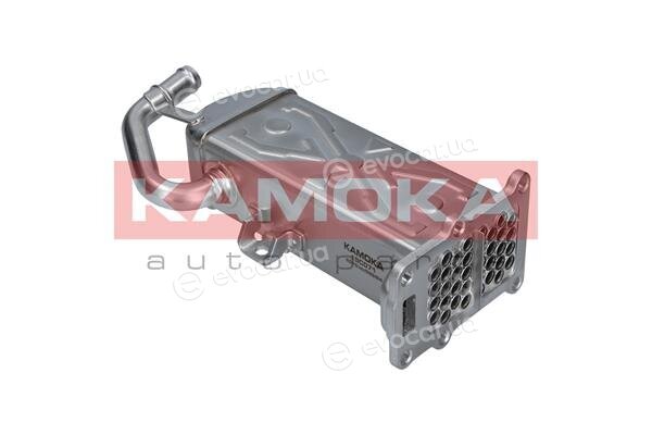 Kamoka 19C071