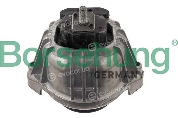 Borsehung B12641