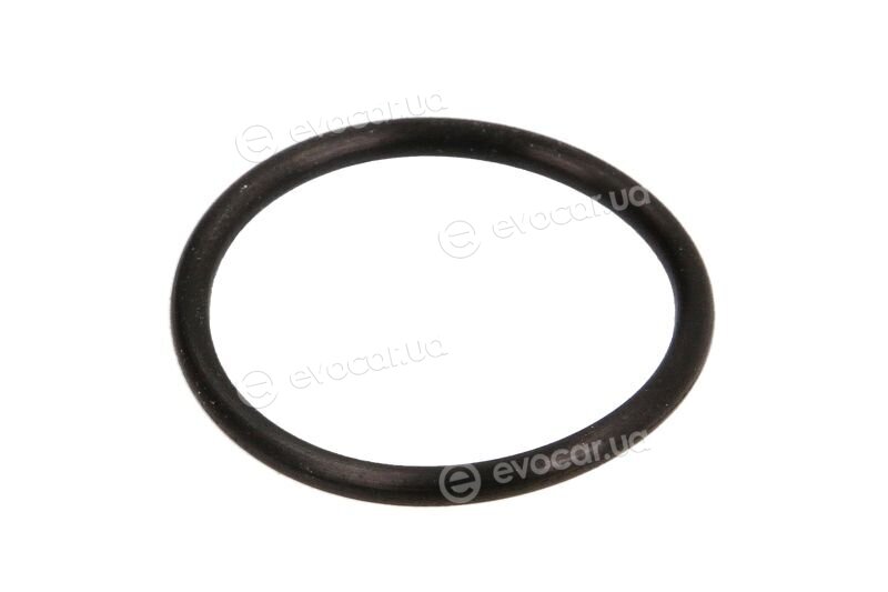 Valeo 509164