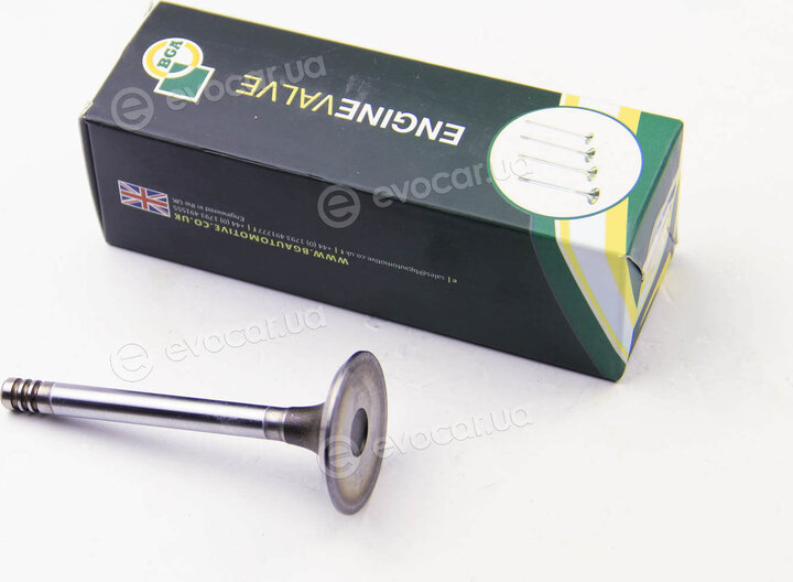 BGA V033282