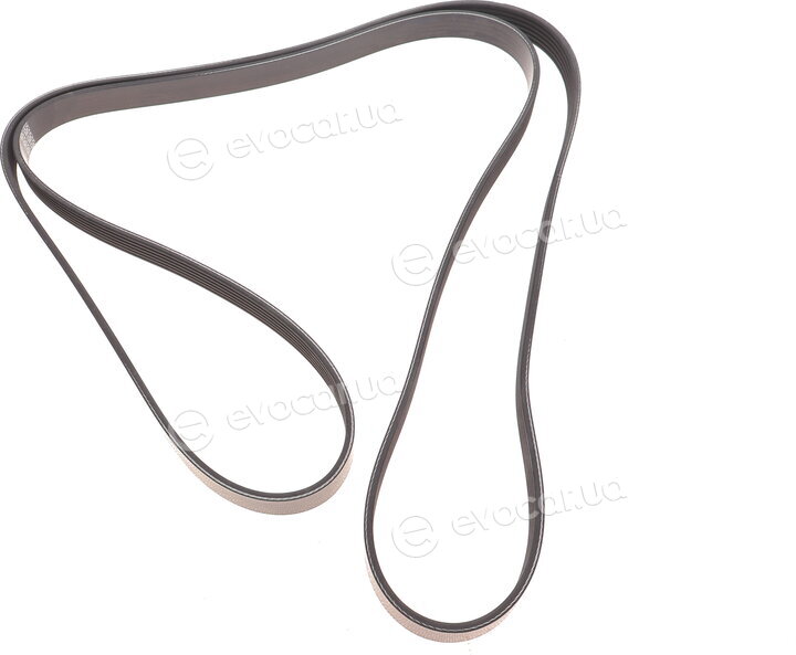 Dayco 6PK2310