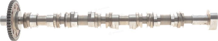 OEM 06H109022BJ