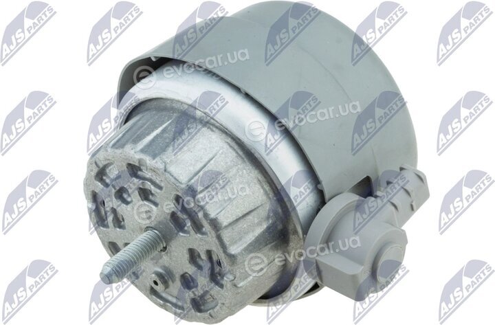 NTY ZPS-AU-010