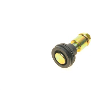 Solgy 306172