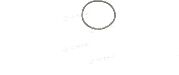 Elring 550.310