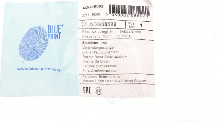 Blue Print ADG08592