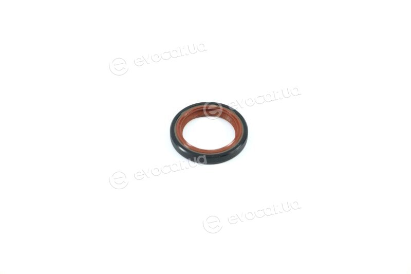 Elring 505.366
