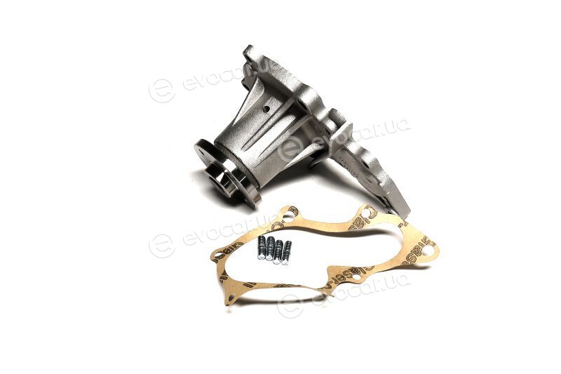 Dolz T184