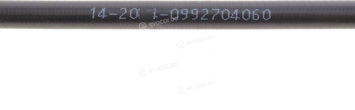 Solgy 219004