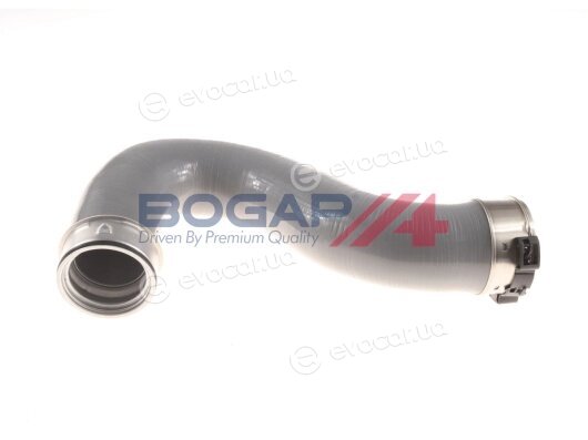 Bogap C1711161