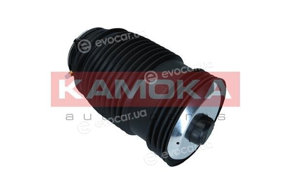 Kamoka 2079049