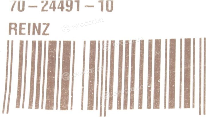 Victor Reinz 70-24491-10