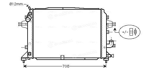 AVA OL2489