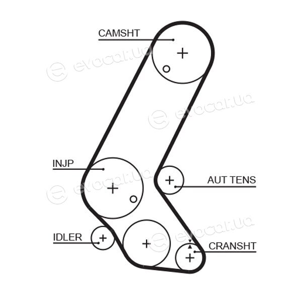 Gates K015595XS