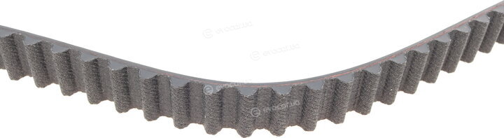 Dayco 94256