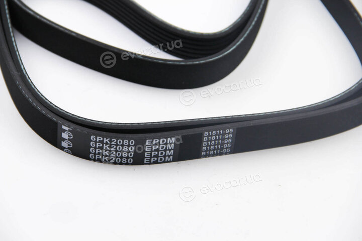 BGA 6PK2080