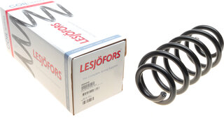Lesjofors 4004249