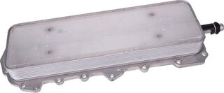 Bapmic BF0426490014
