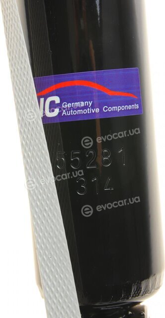 AIC 55281