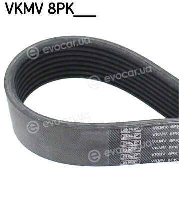 SKF VKMV 8PK2035