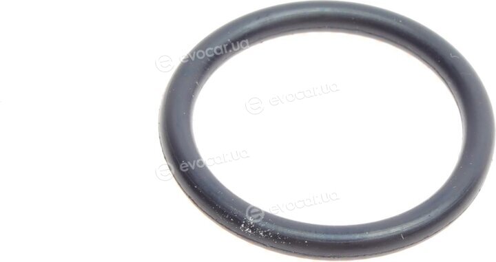 Elring 470.650