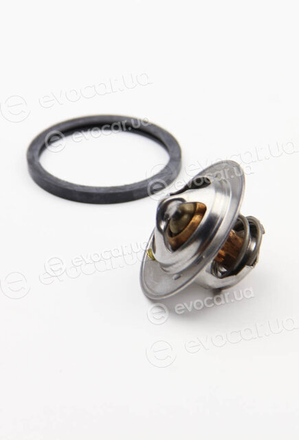 Motorad 2041-82K