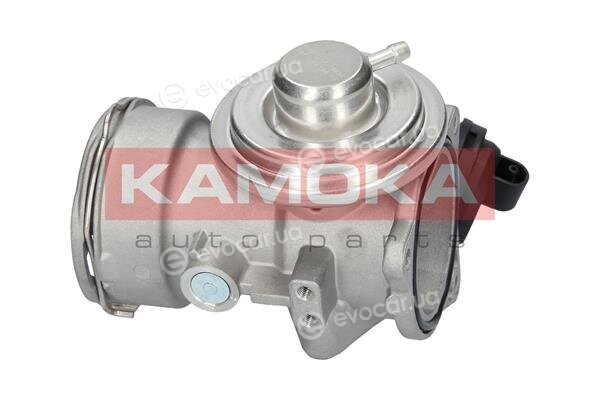 Kamoka 19034