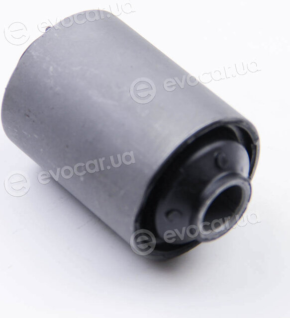 BC Guma 0613