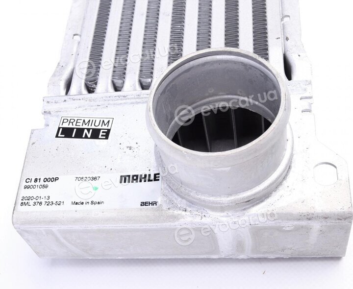 Mahle CI 81 000P