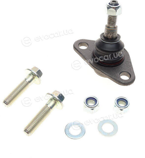Solgy 203160