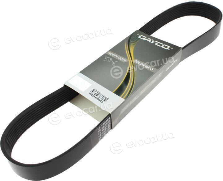 Dayco 10PK1805