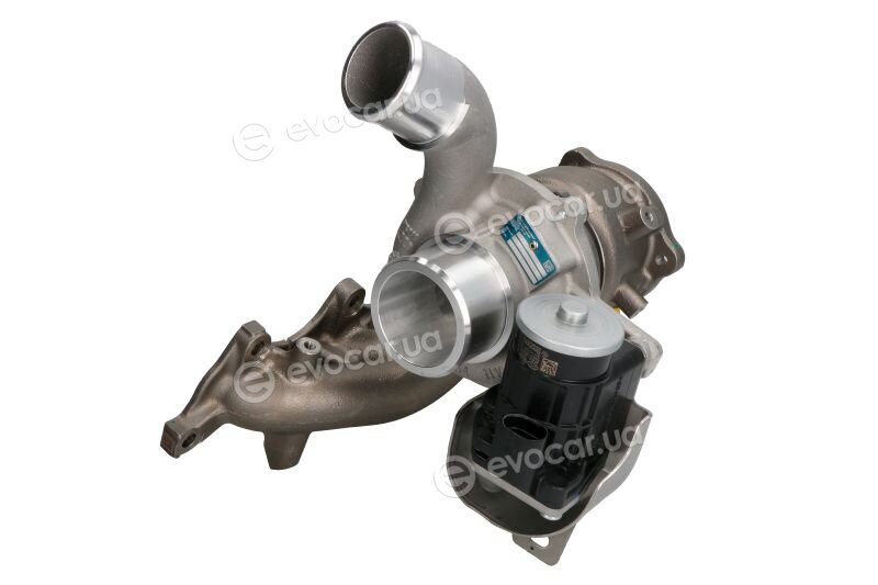 BorgWarner 16399880016