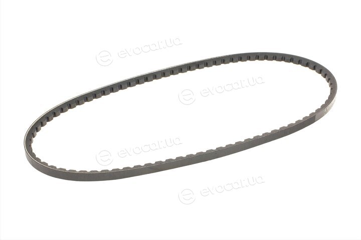 Continental AVX10X838