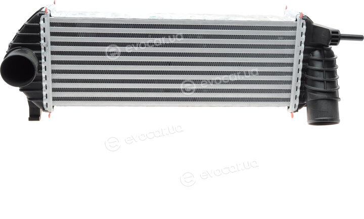 Mahle CI 243 000P