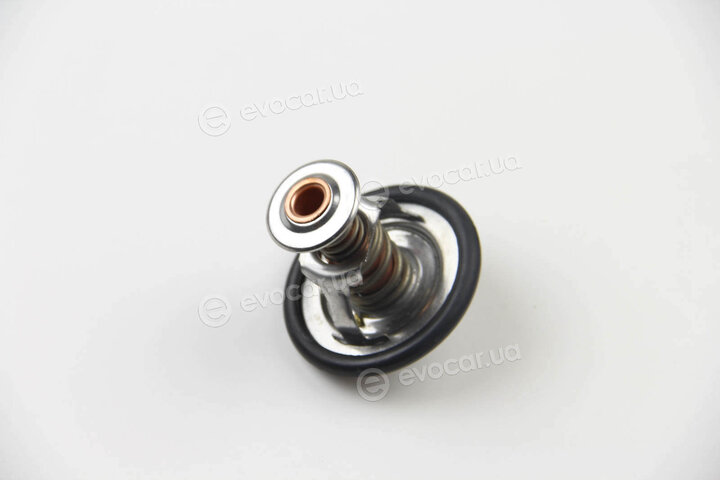 Motorad 299-82K