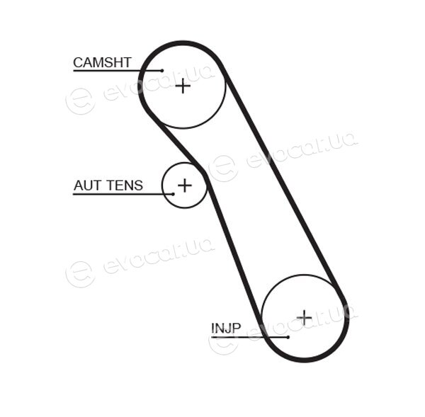 Gates K015541XS